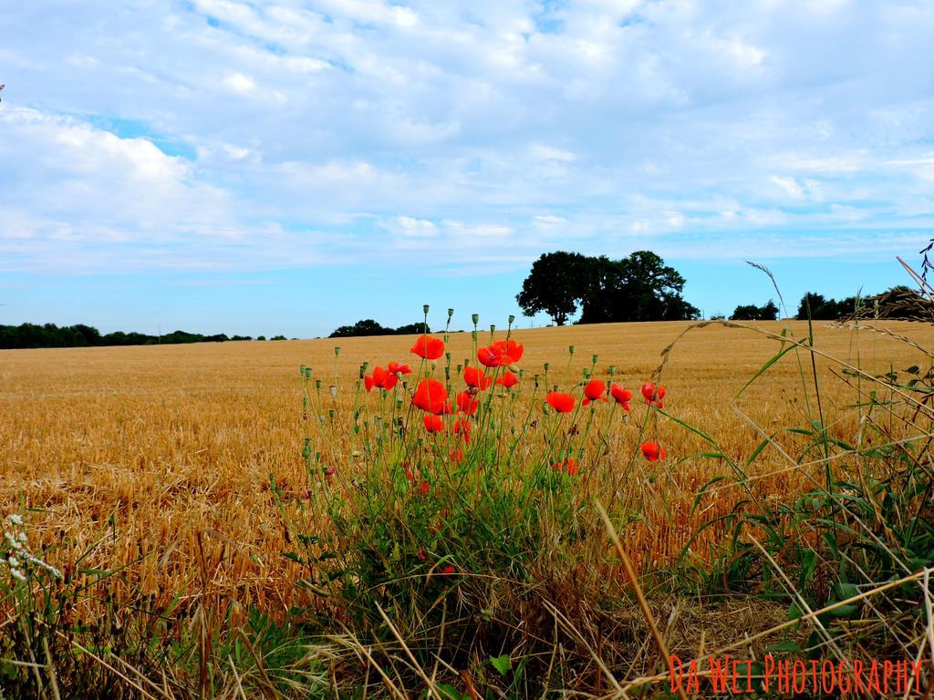 Gite Dans Les Alpes Mancelles Gesnes-le-Gandelin ภายนอก รูปภาพ