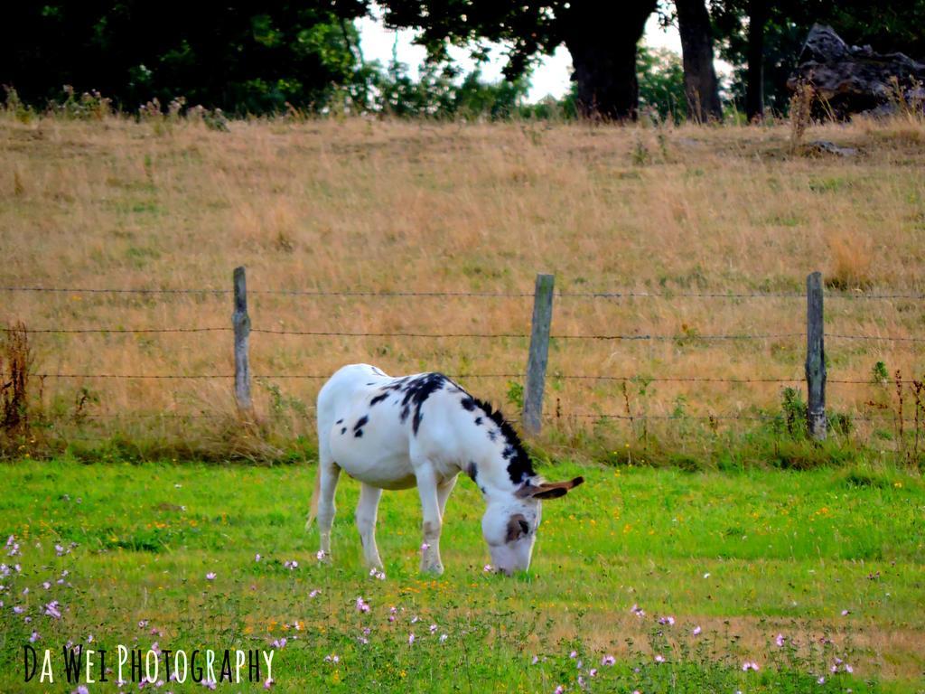 Gite Dans Les Alpes Mancelles Gesnes-le-Gandelin ภายนอก รูปภาพ